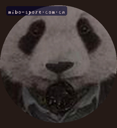 陈欣